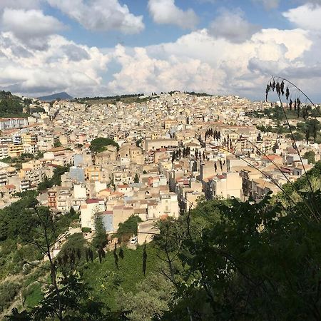 Apartmán La Domus Di Segesta "Smart Solution" Calatafimi Exteriér fotografie