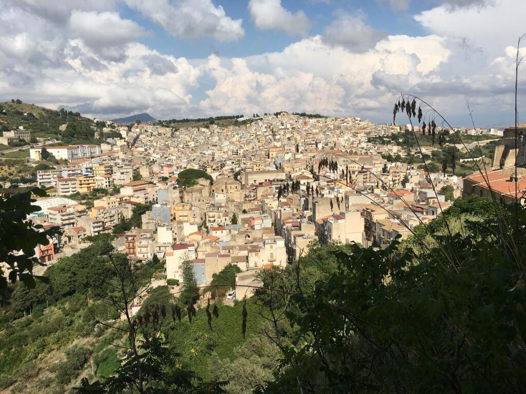 Apartmán La Domus Di Segesta "Smart Solution" Calatafimi Exteriér fotografie